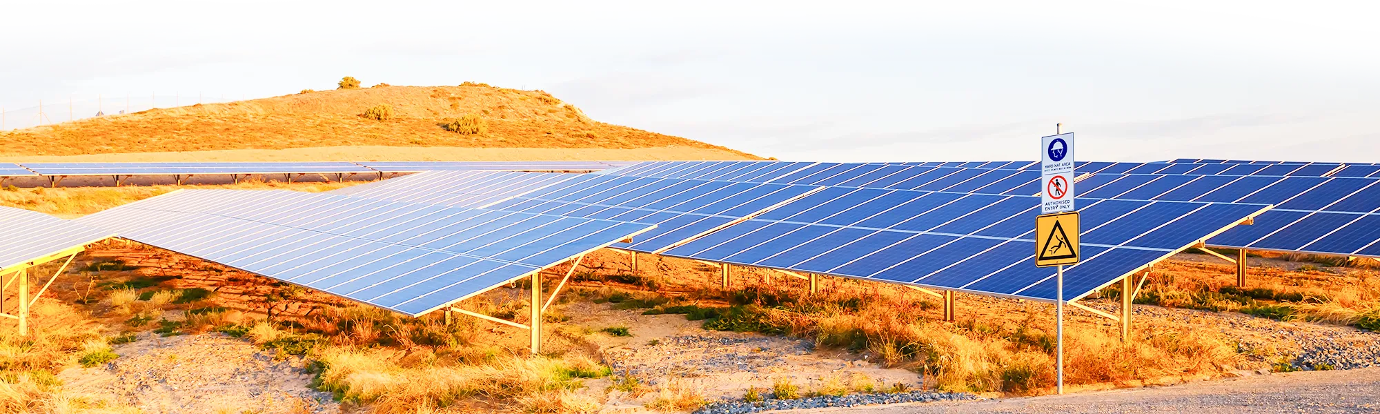 sustainable reality